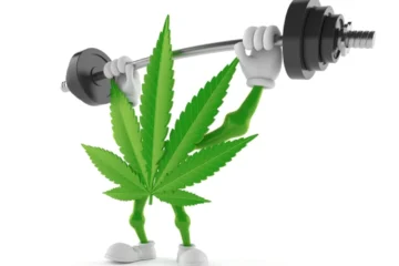 Cannabis and Bodybuilding