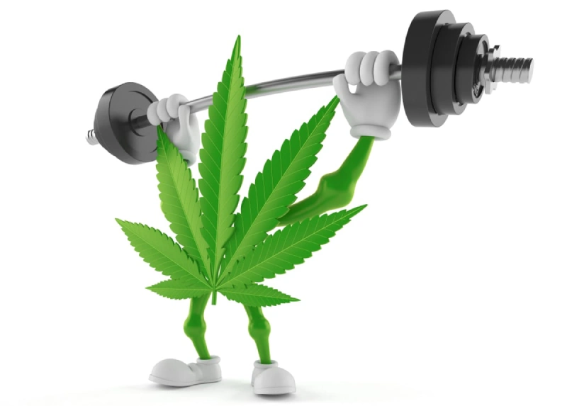 Cannabis and Bodybuilding