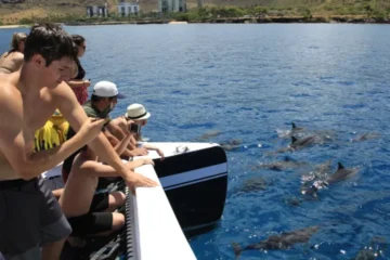 What to Bring for a Fun and Comfortable Morning Catamaran Snorkeling