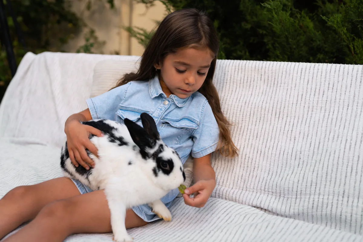 how to tell a baby rabbit’s age