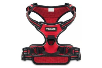 No Pull Harness for Strong Dogs