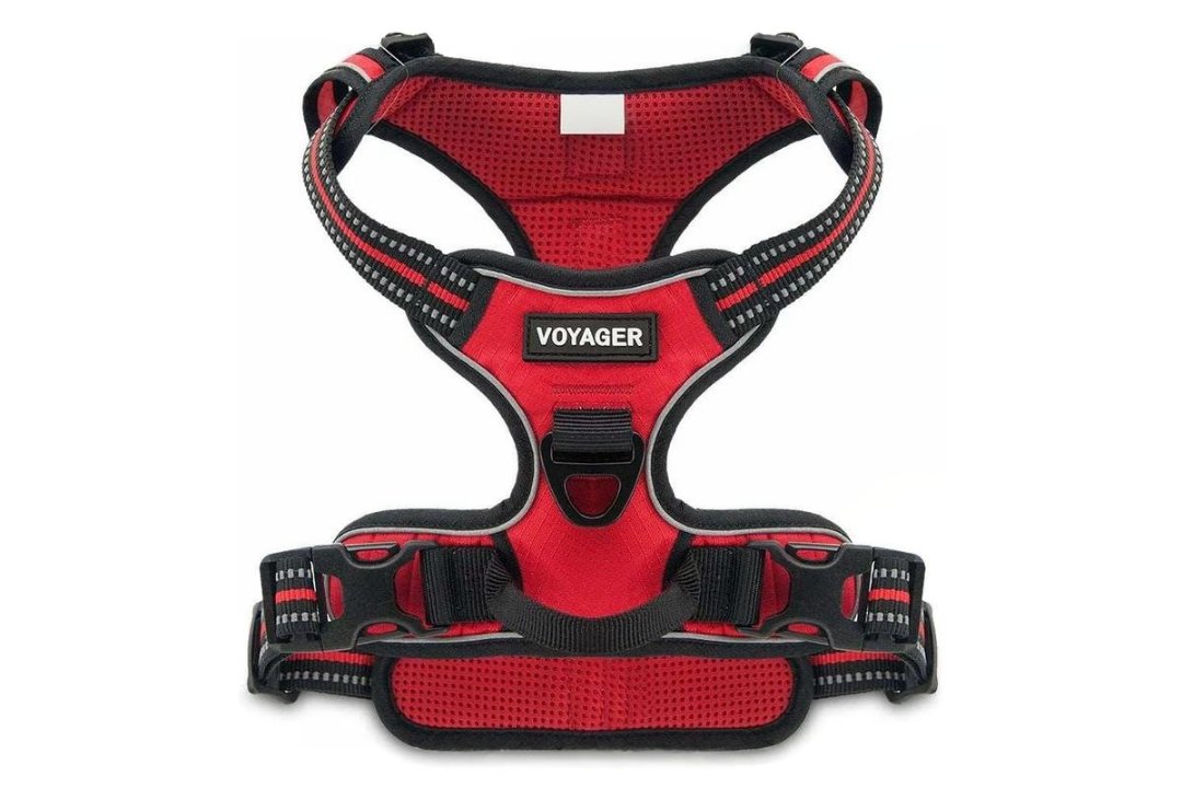 No Pull Harness for Strong Dogs