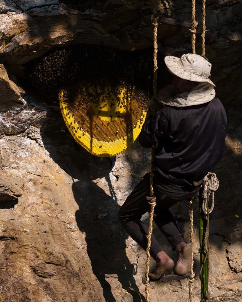 Mad Honey vs Regular Honey