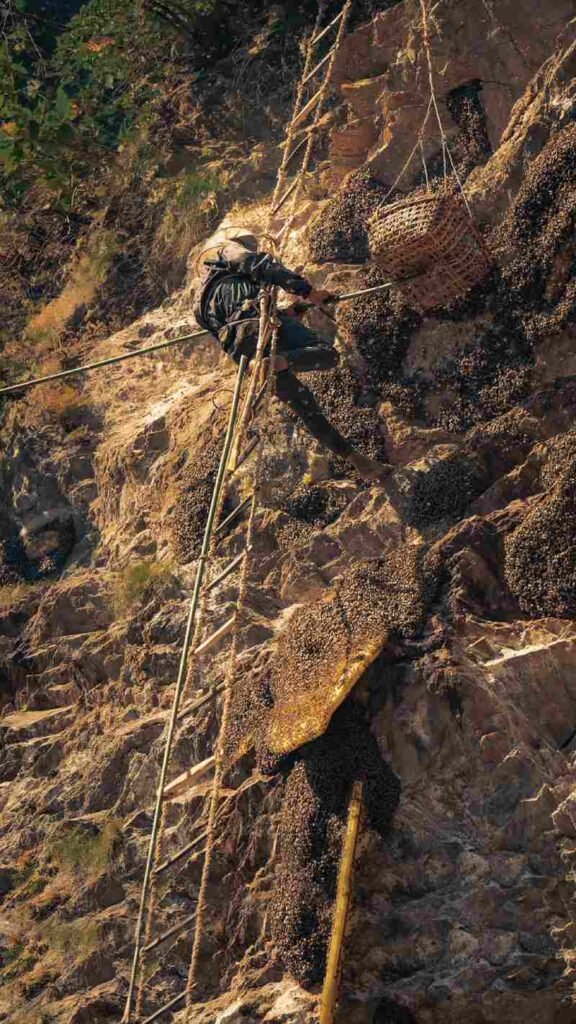 Safety and Consumption