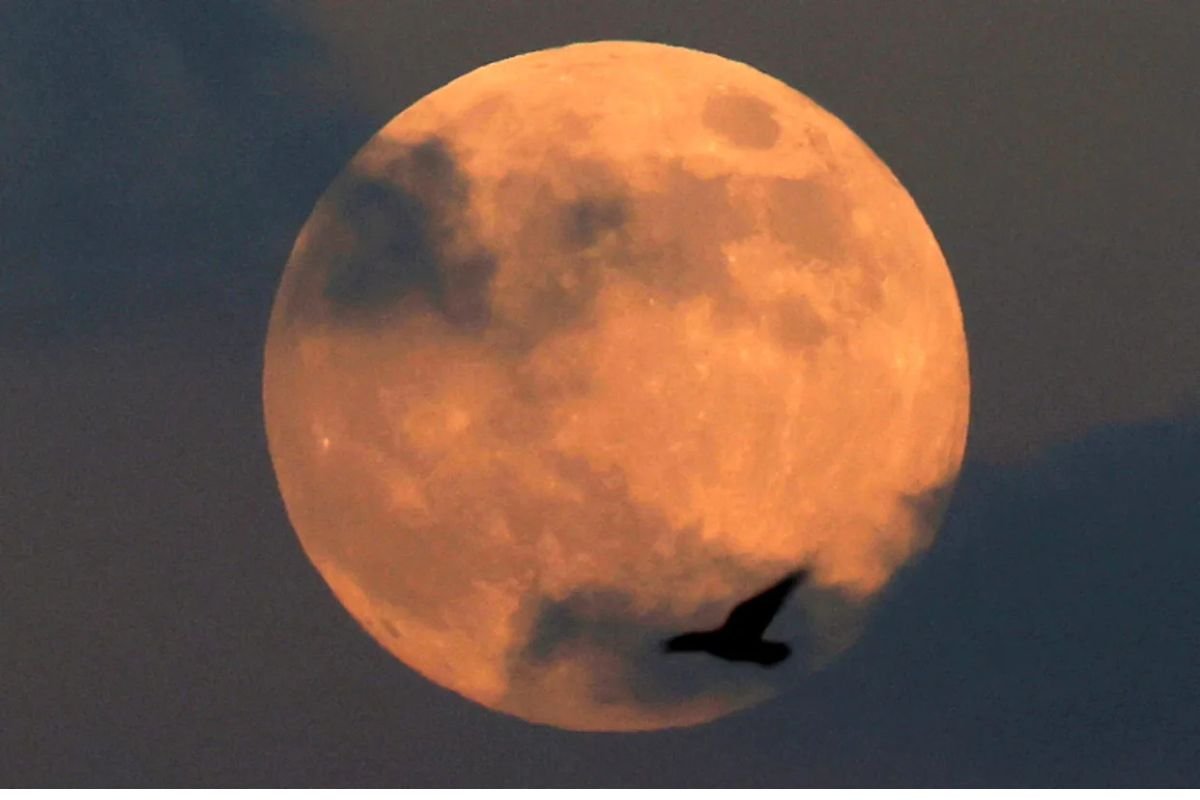 Arizona November Supermoon