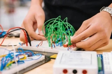 Hands‑On Projects vs Digital Wins