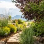 Decadgarden yard tips