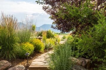 Decadgarden yard tips