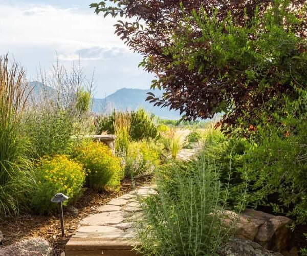 Decadgarden yard tips