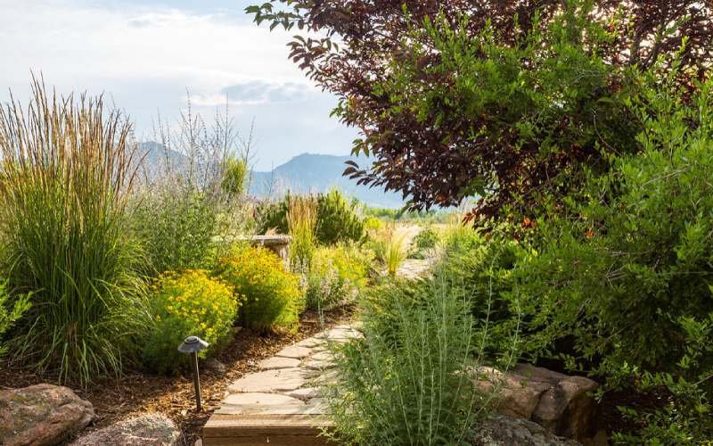 Decadgarden yard tips