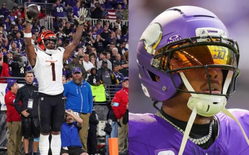 Bengals vs Vikings stats